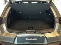 Lexus UX 300h - 112kW thumbnail