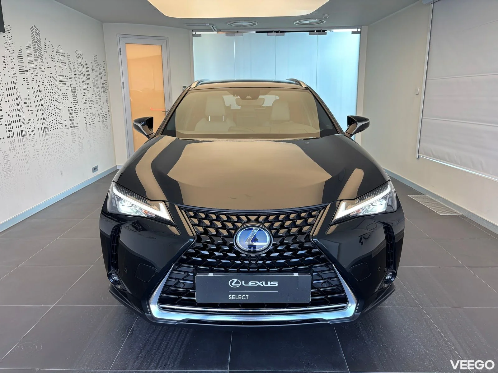 Lexus UX 250h - 112kW