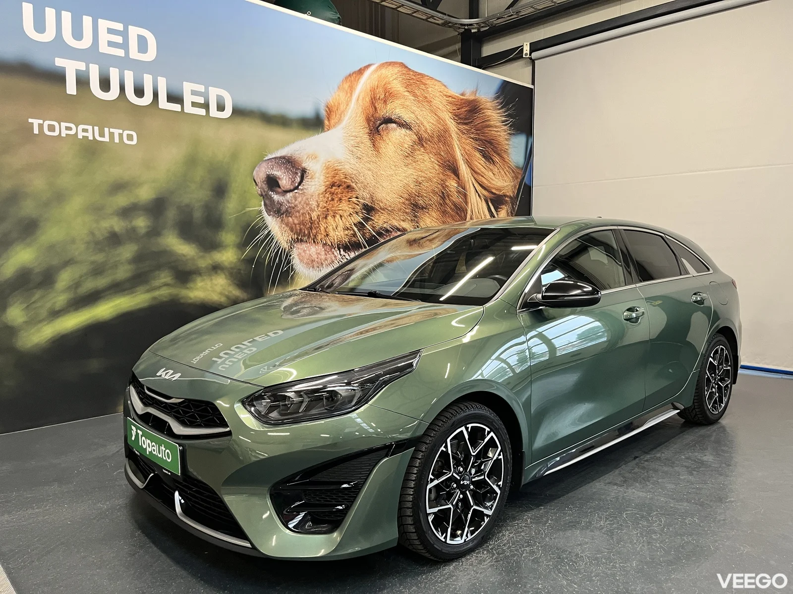 Kia Ceed: ProCeed 1.5 118kW
