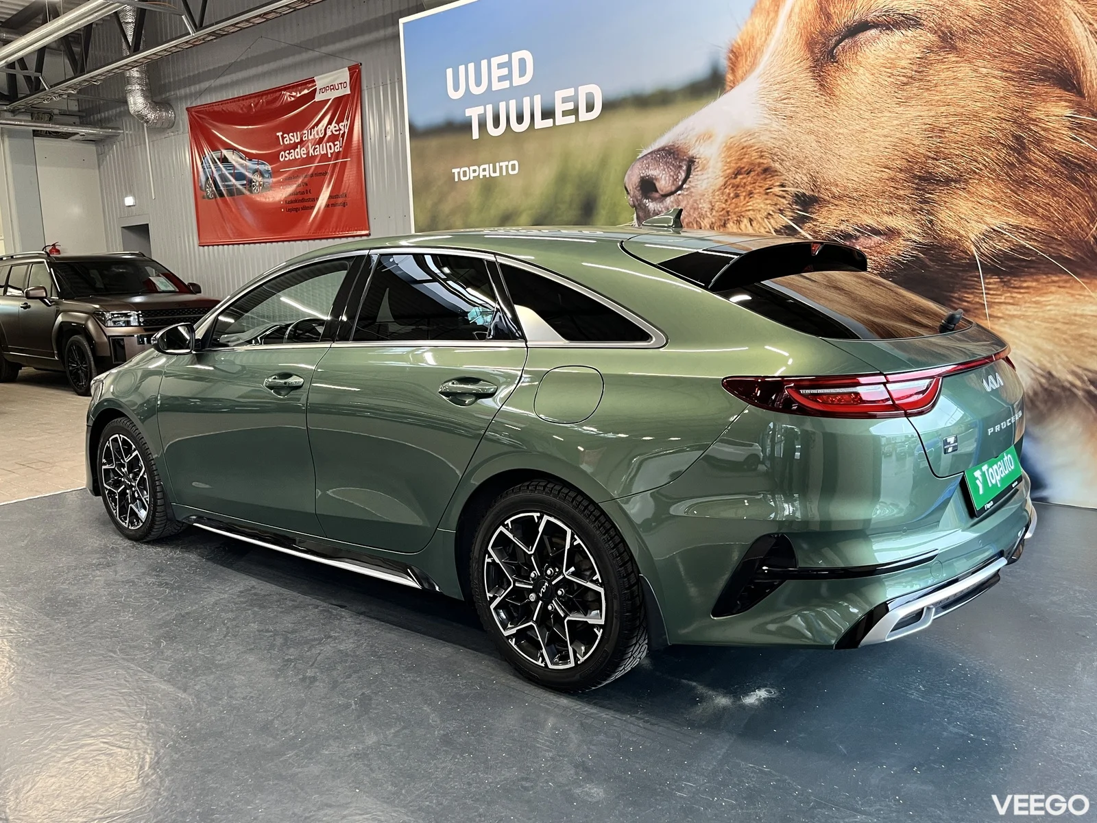 Kia Ceed: ProCeed 1.5 118kW