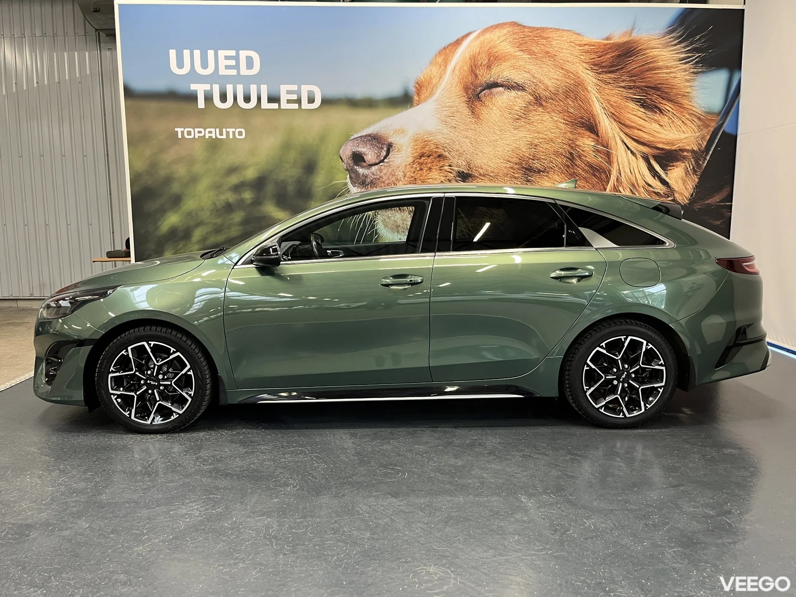 Kia Ceed: ProCeed 1.5 118kW