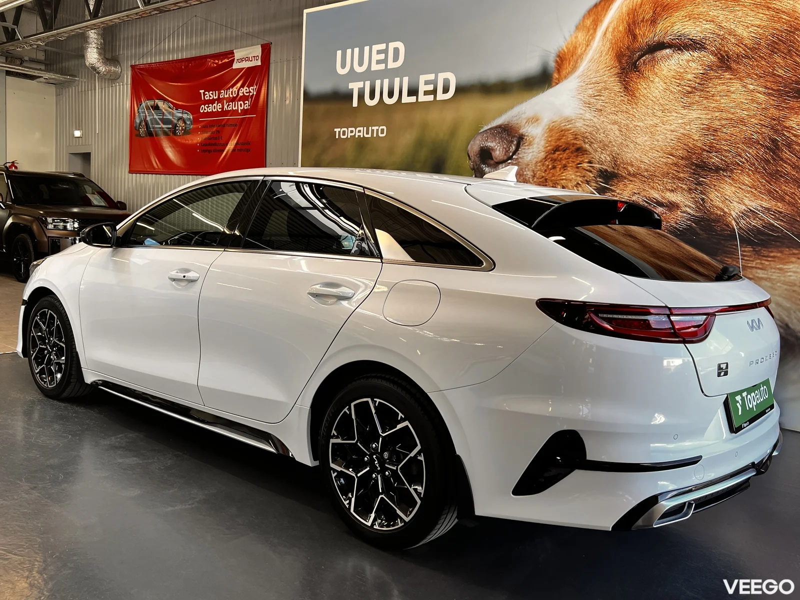 Kia Ceed: ProCeed 1.5 118kW
