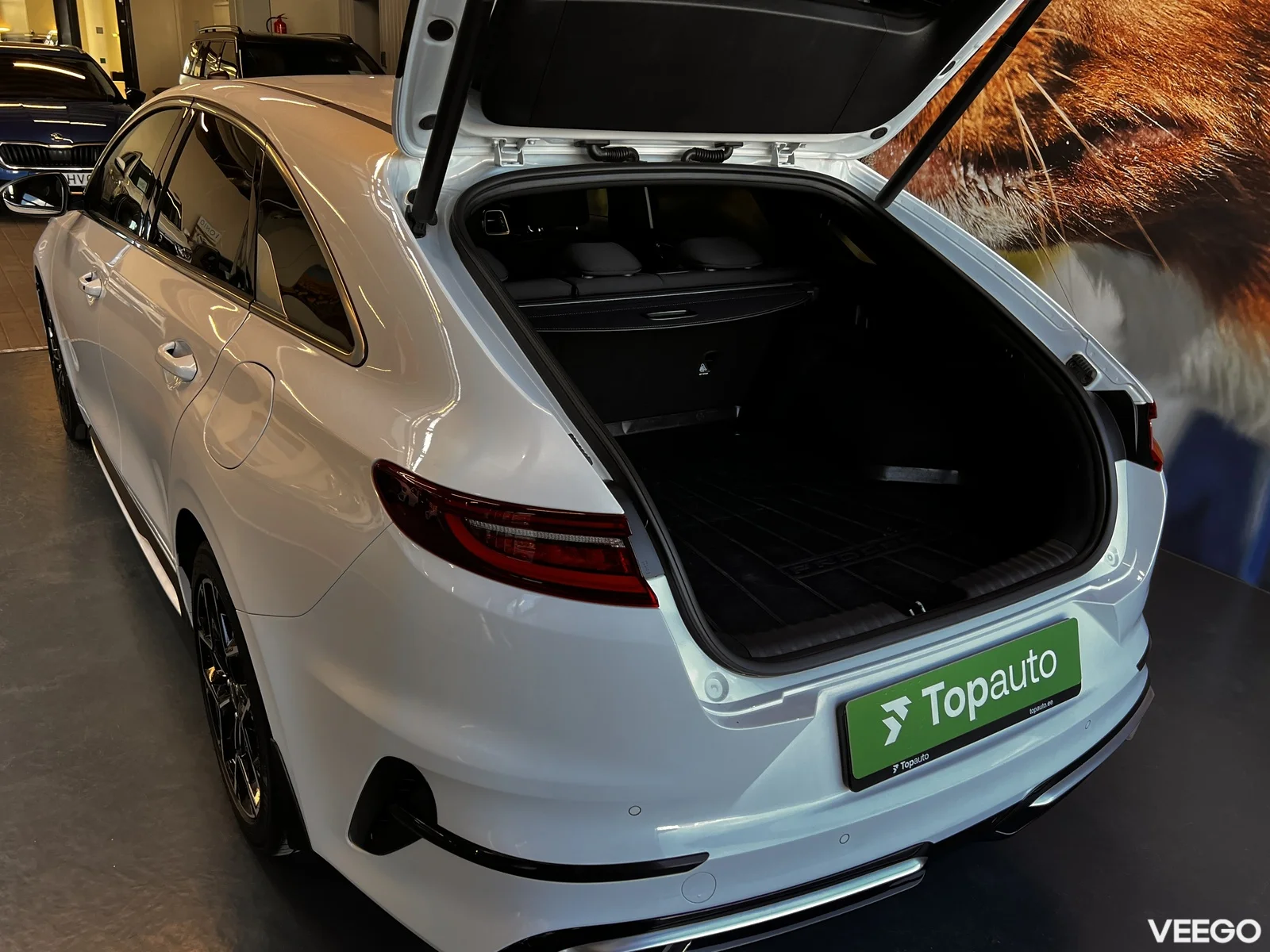 Kia Ceed: ProCeed 1.5 118kW