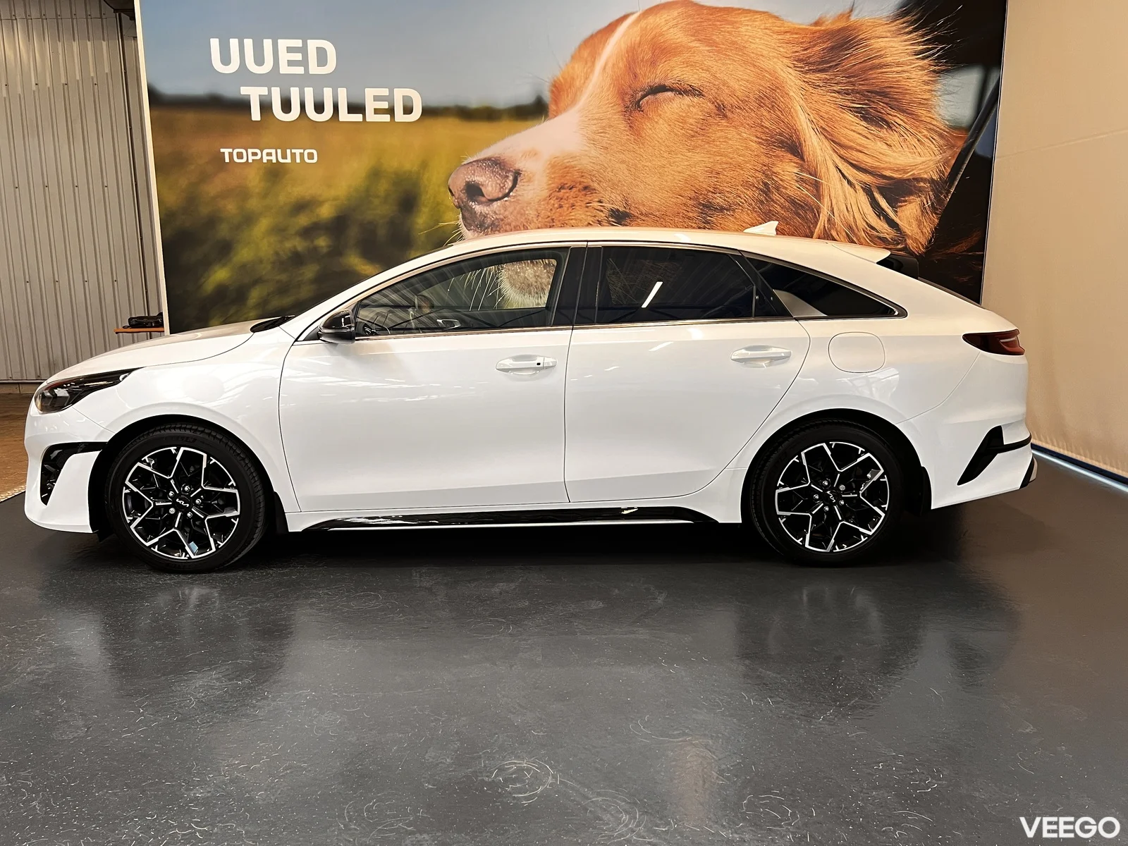 Kia Ceed: ProCeed 1.5 118kW