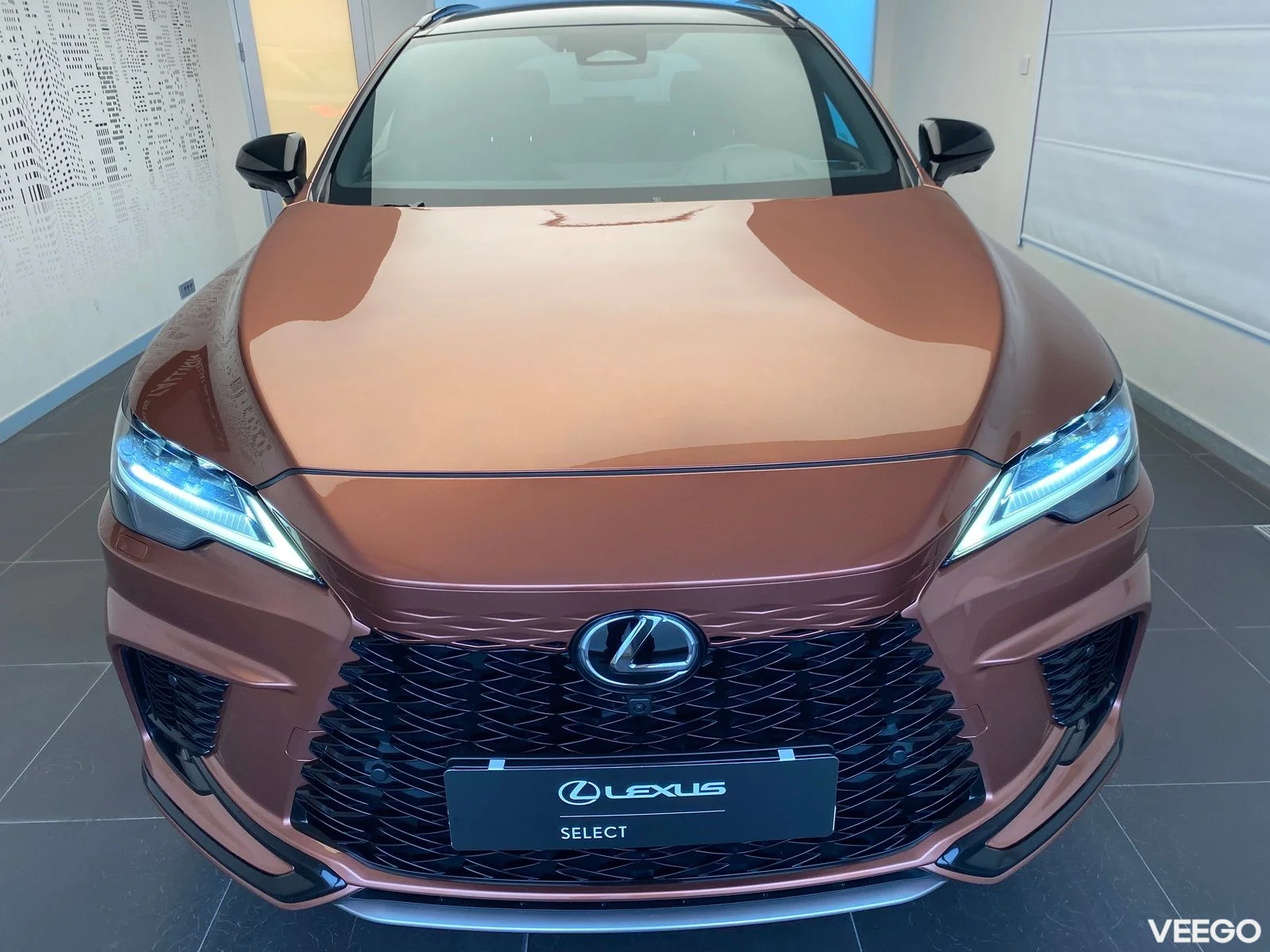 Lexus RX 500h - 200kW