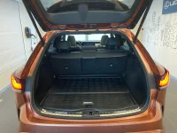 Lexus RX 500h - 200kW