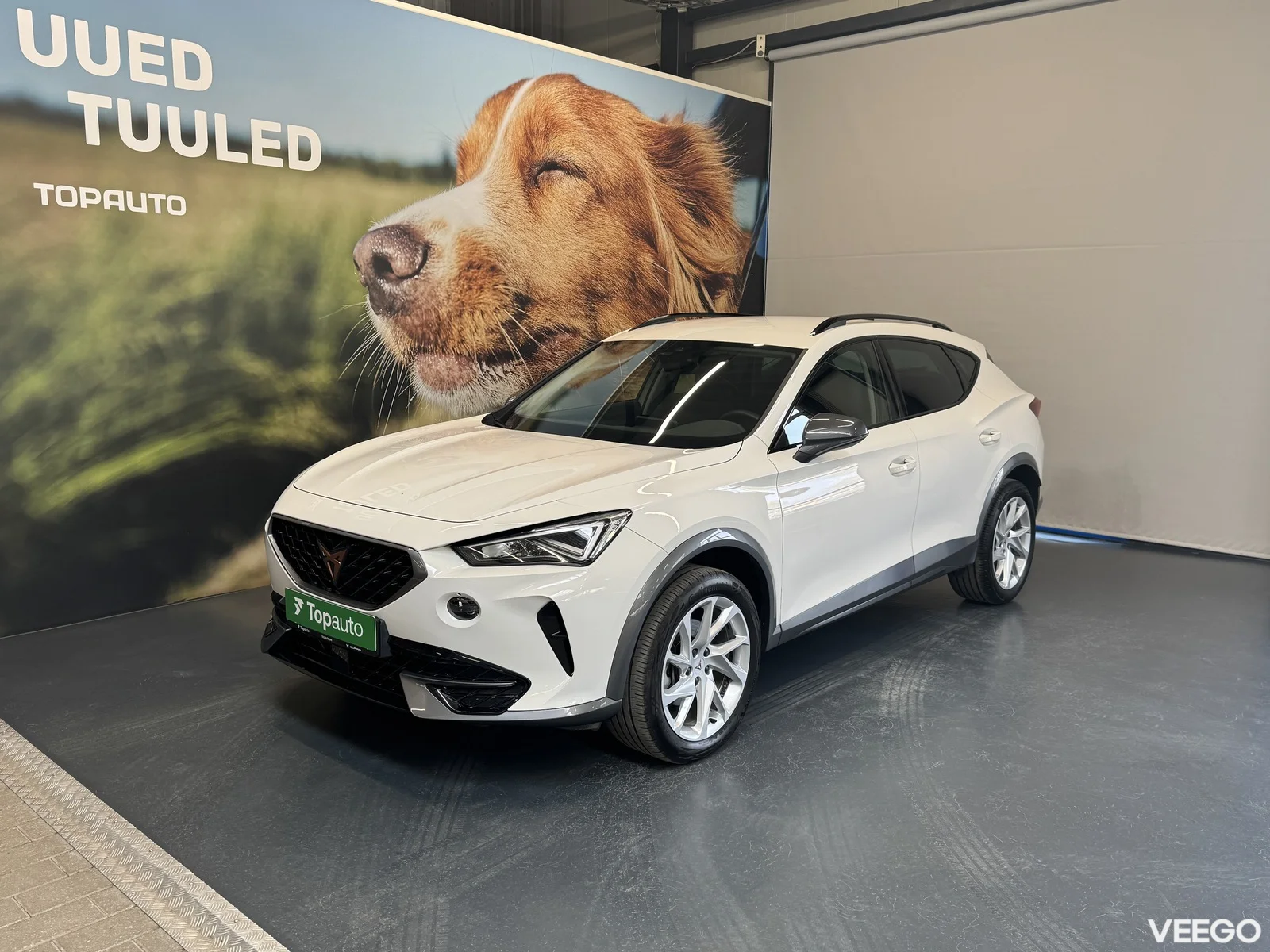Cupra Formentor 1.5 110kW