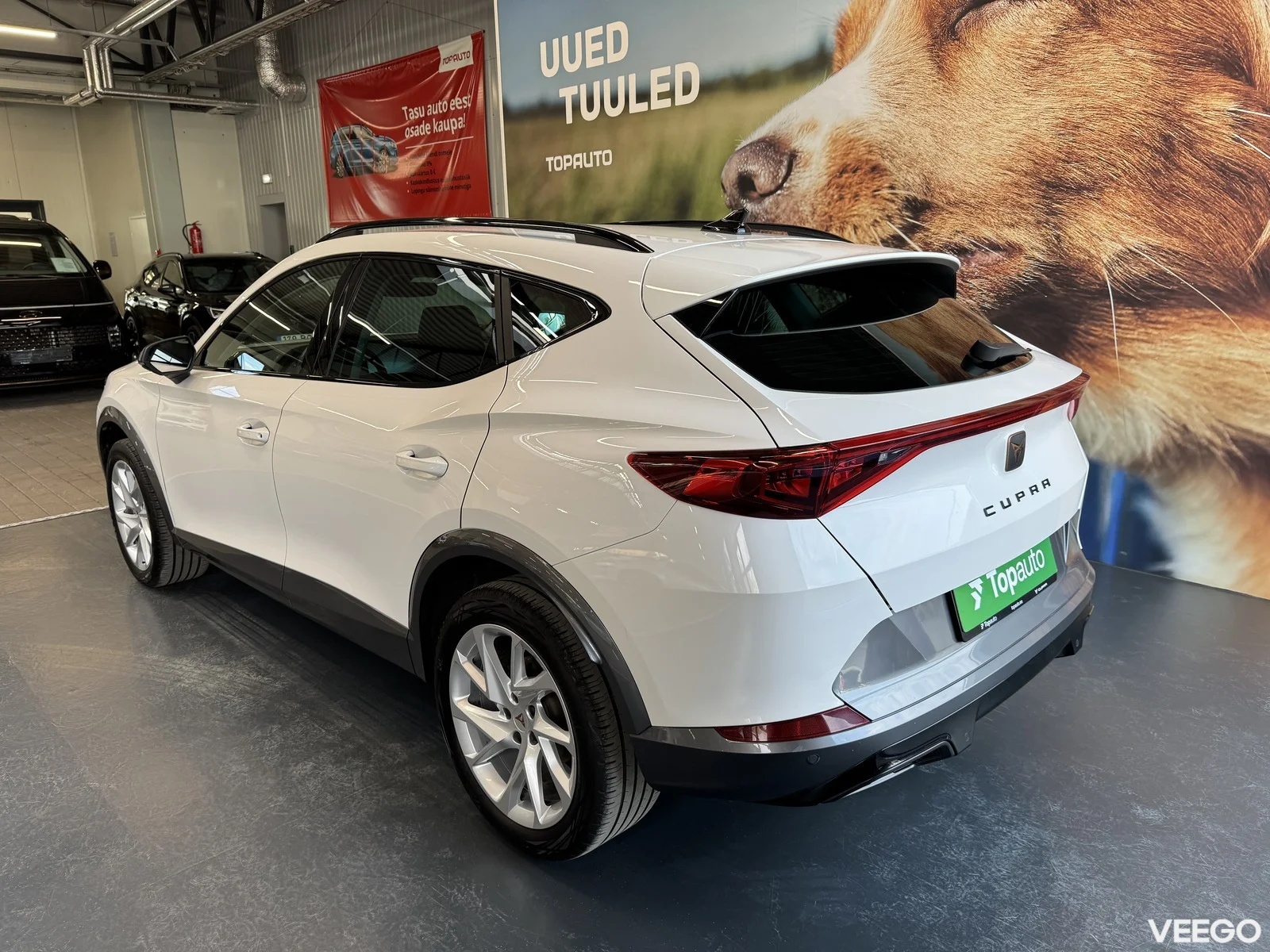 Cupra Formentor 1.5 110kW
