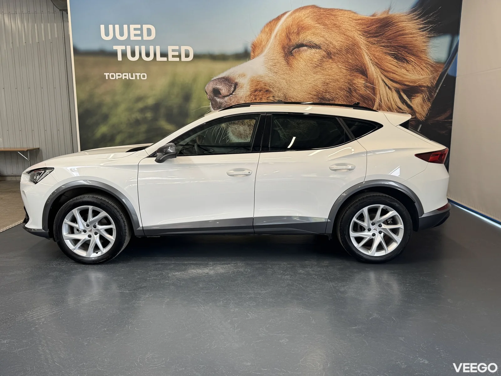 Cupra Formentor 1.5 110kW