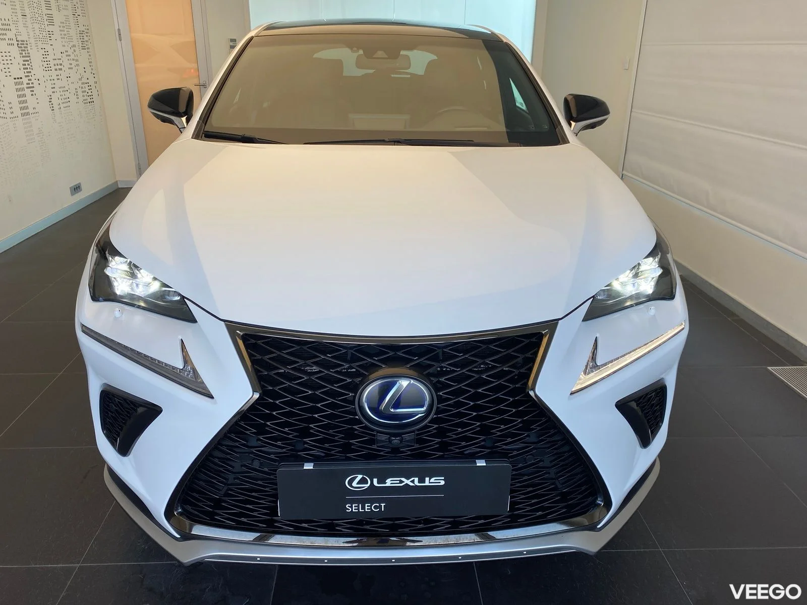 Lexus NX 300h - 114kW