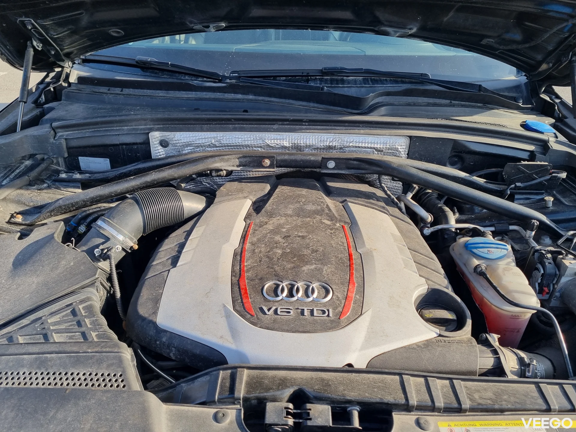 Audi SQ5 Typ 8R 3.0 230kW