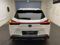 Lexus UX 300h - 112kW