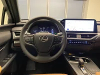 Lexus UX 300h - 112kW