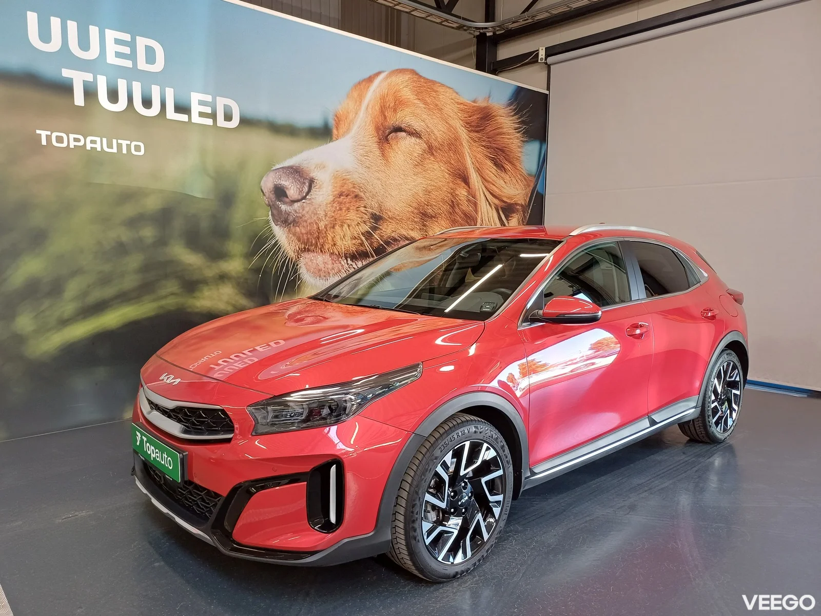Kia XCeed 1.5 103kW