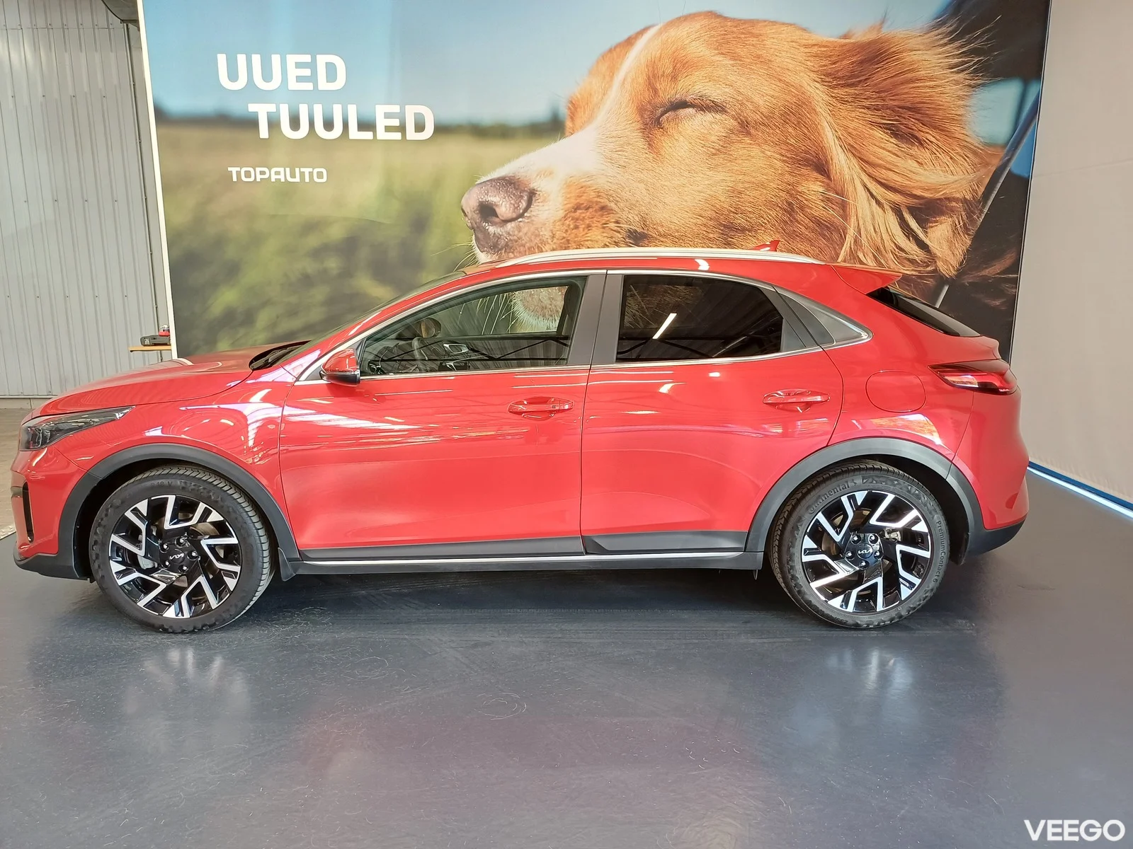 Kia XCeed 1.5 103kW