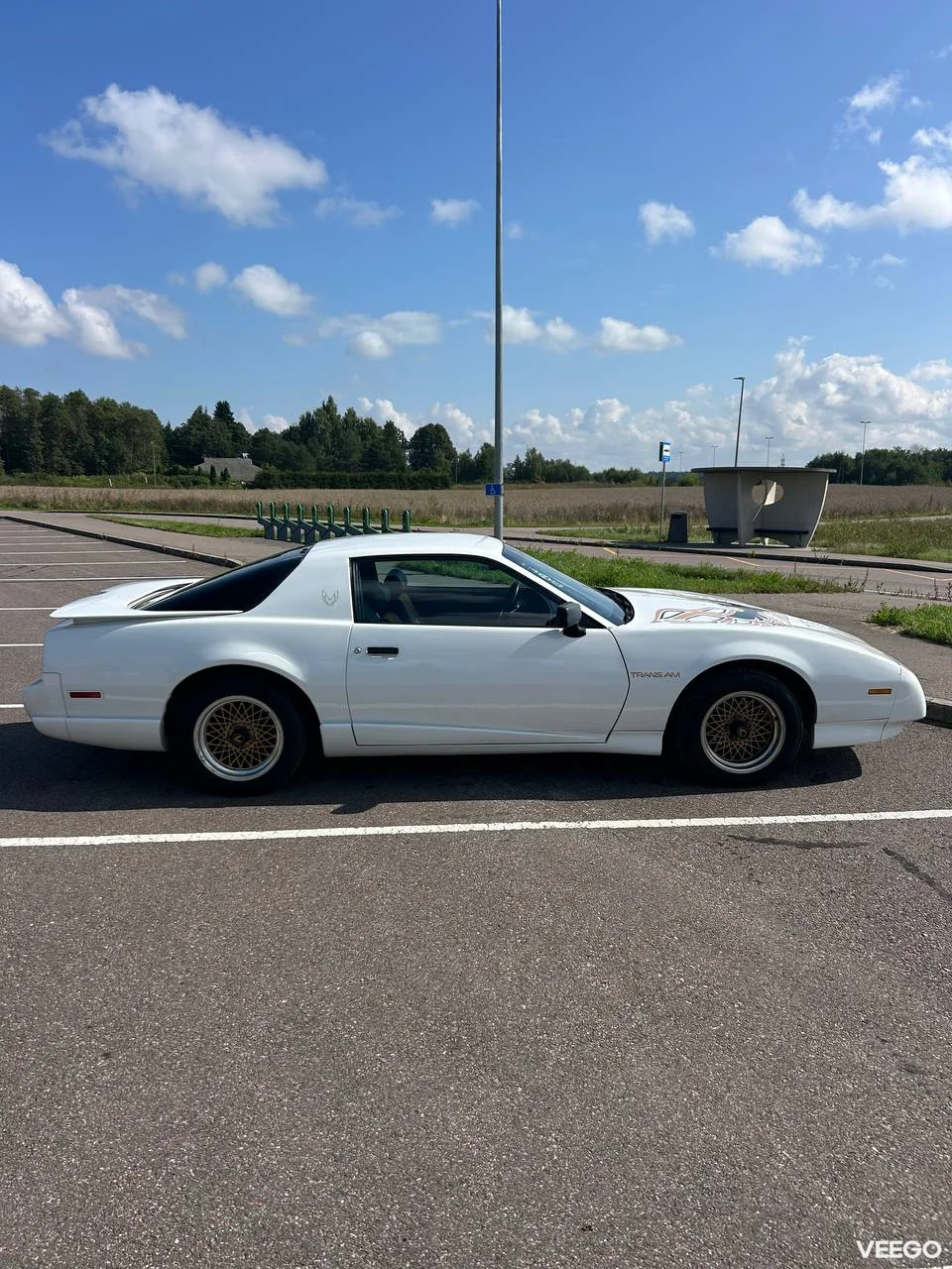 Pontiac Firebird Trans am 5.0 127kW