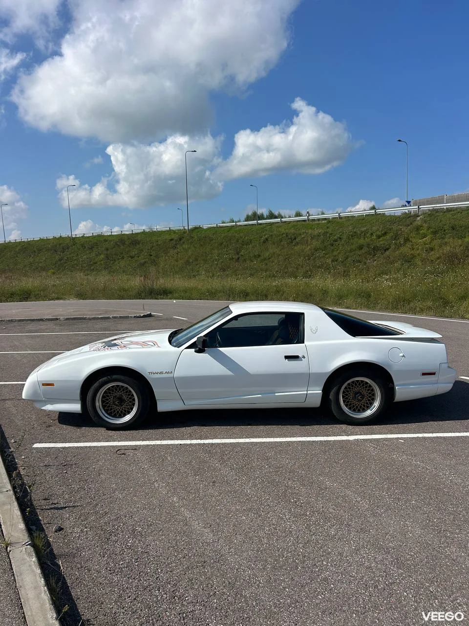 Pontiac Firebird Trans am 5.0 127kW
