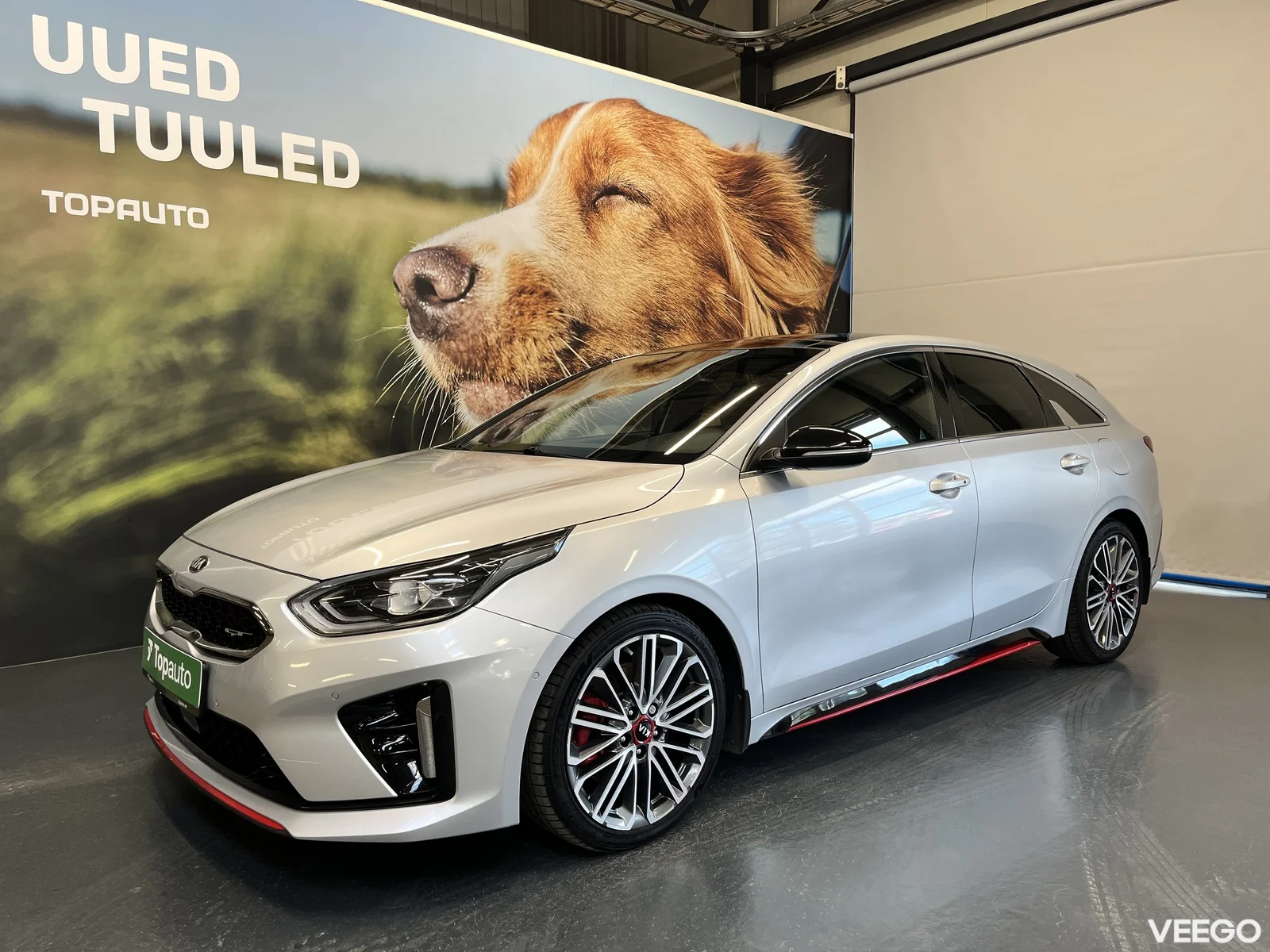 Kia Ceed: ProCeed 1.6 150kW