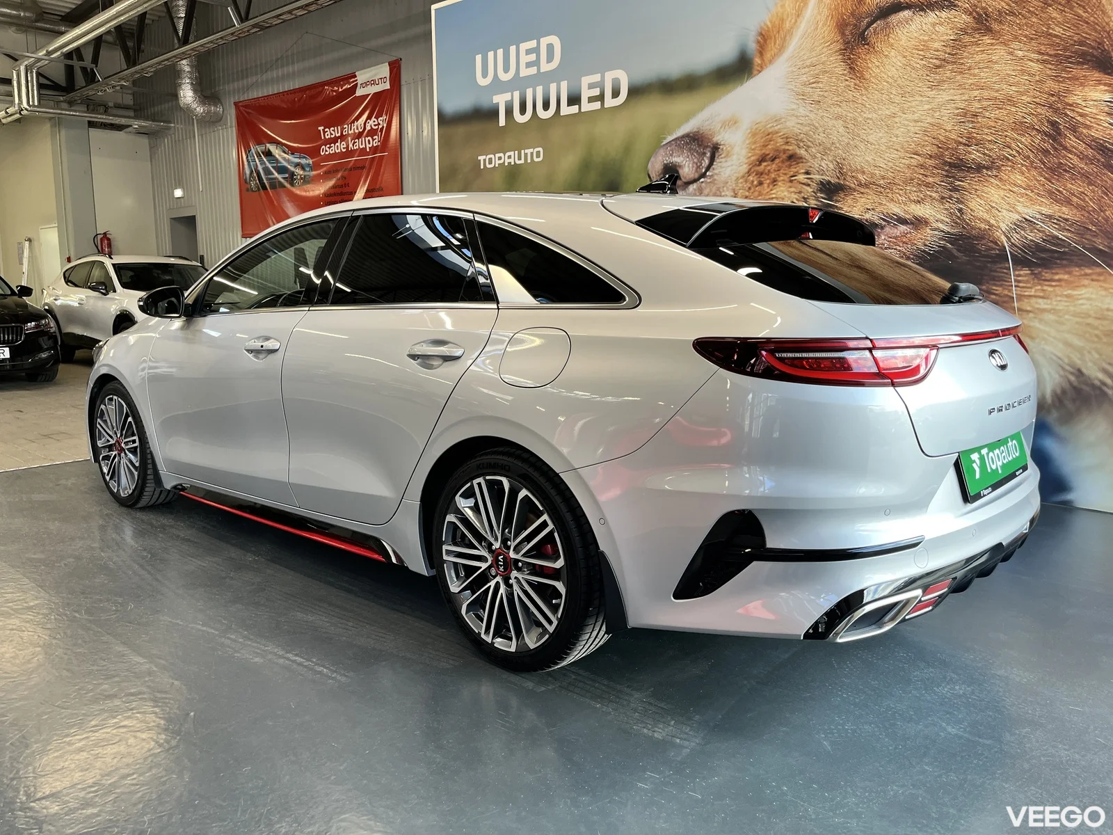 Kia Ceed: ProCeed 1.6 150kW