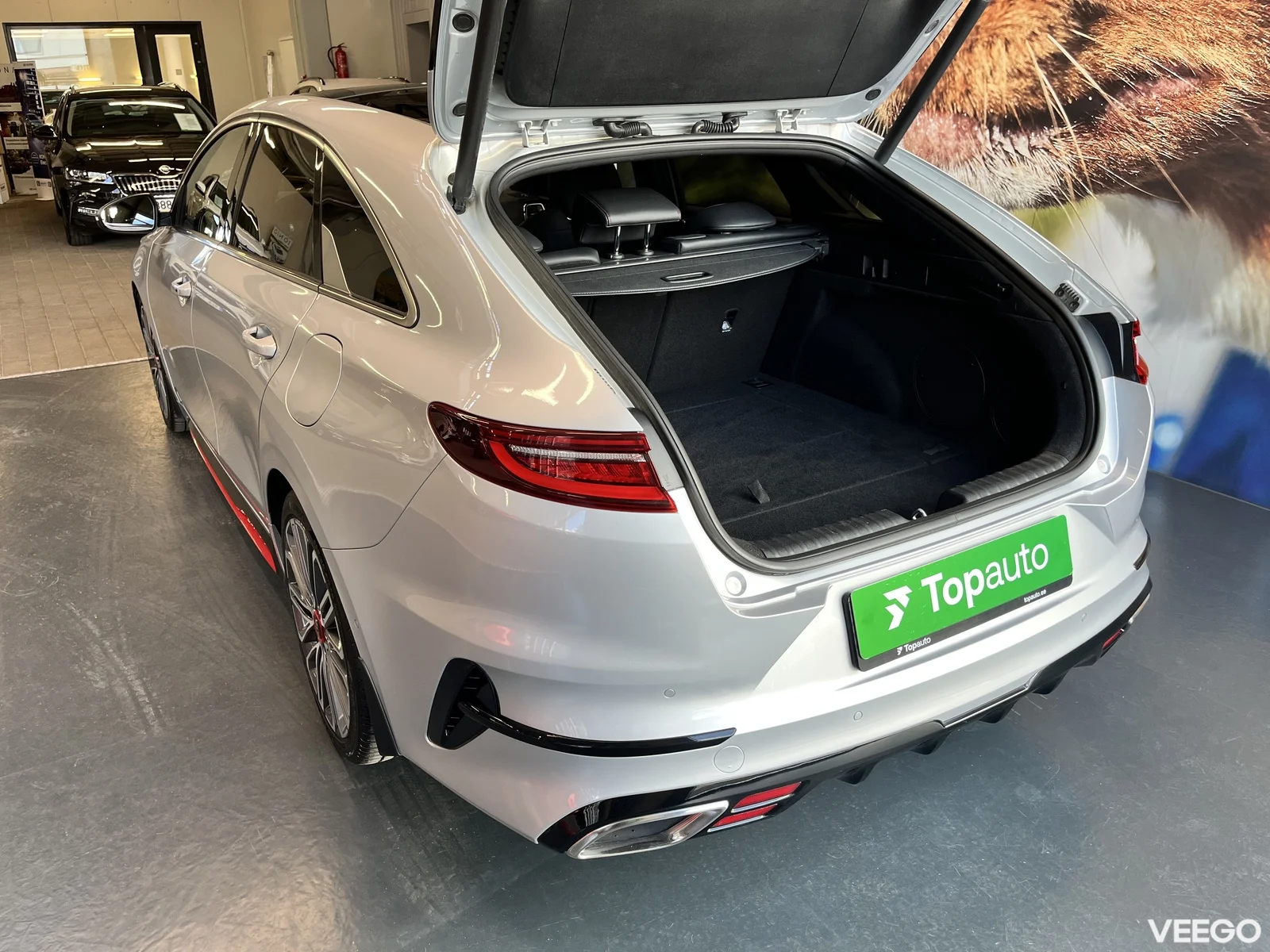 Kia Ceed: ProCeed 1.6 150kW