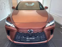 Lexus RX 450h+ - 136kW