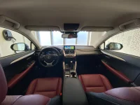 Lexus NX 300h - 114kW
