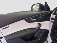 Audi Q8 250kW