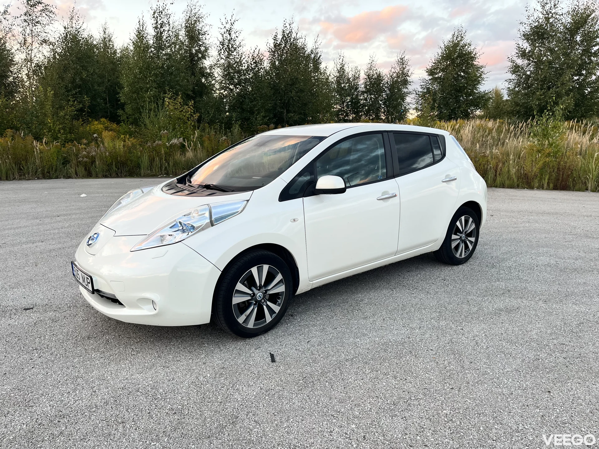 Nissan Leaf 0.0 80kW