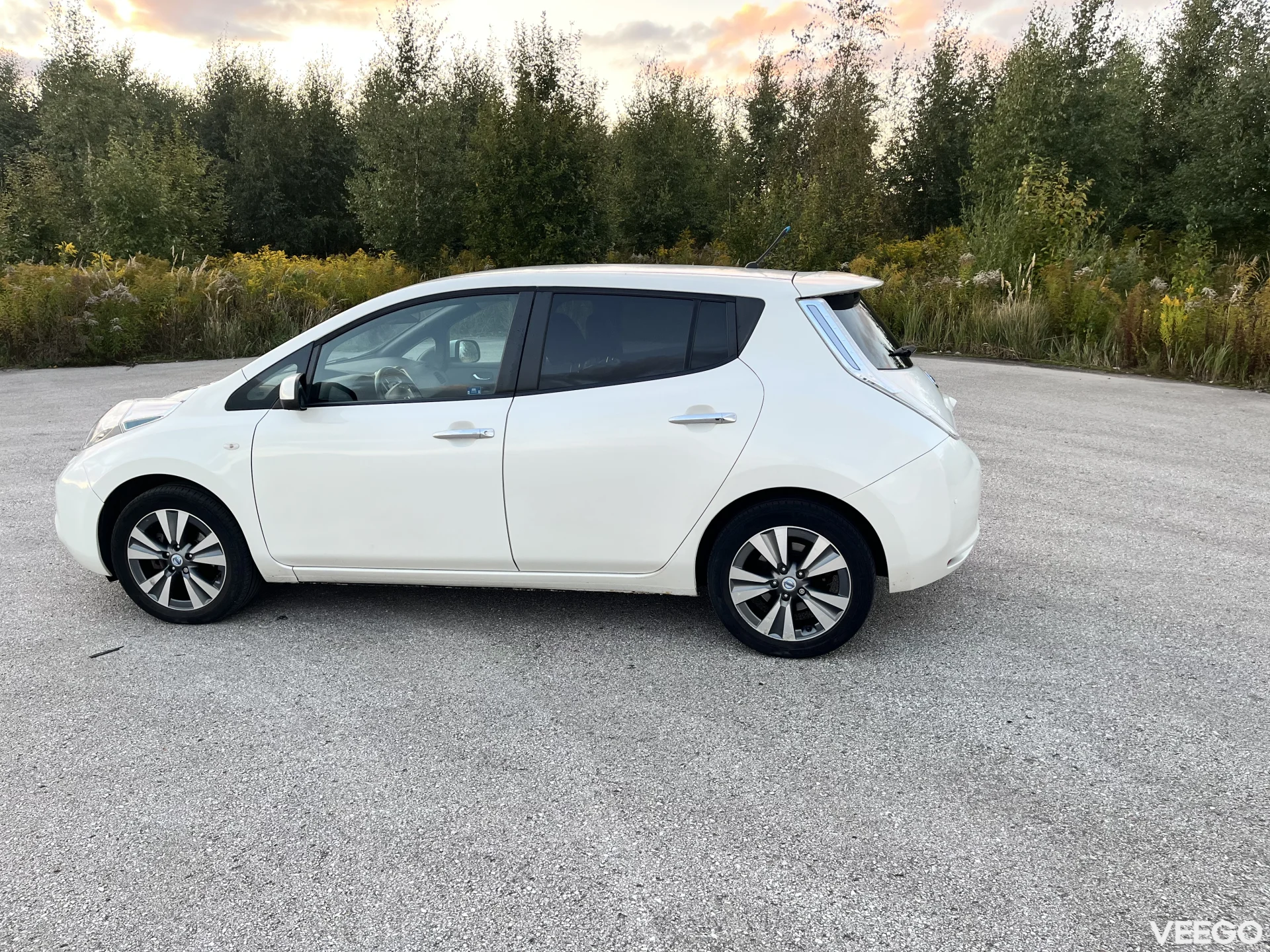 Nissan Leaf 0.0 80kW