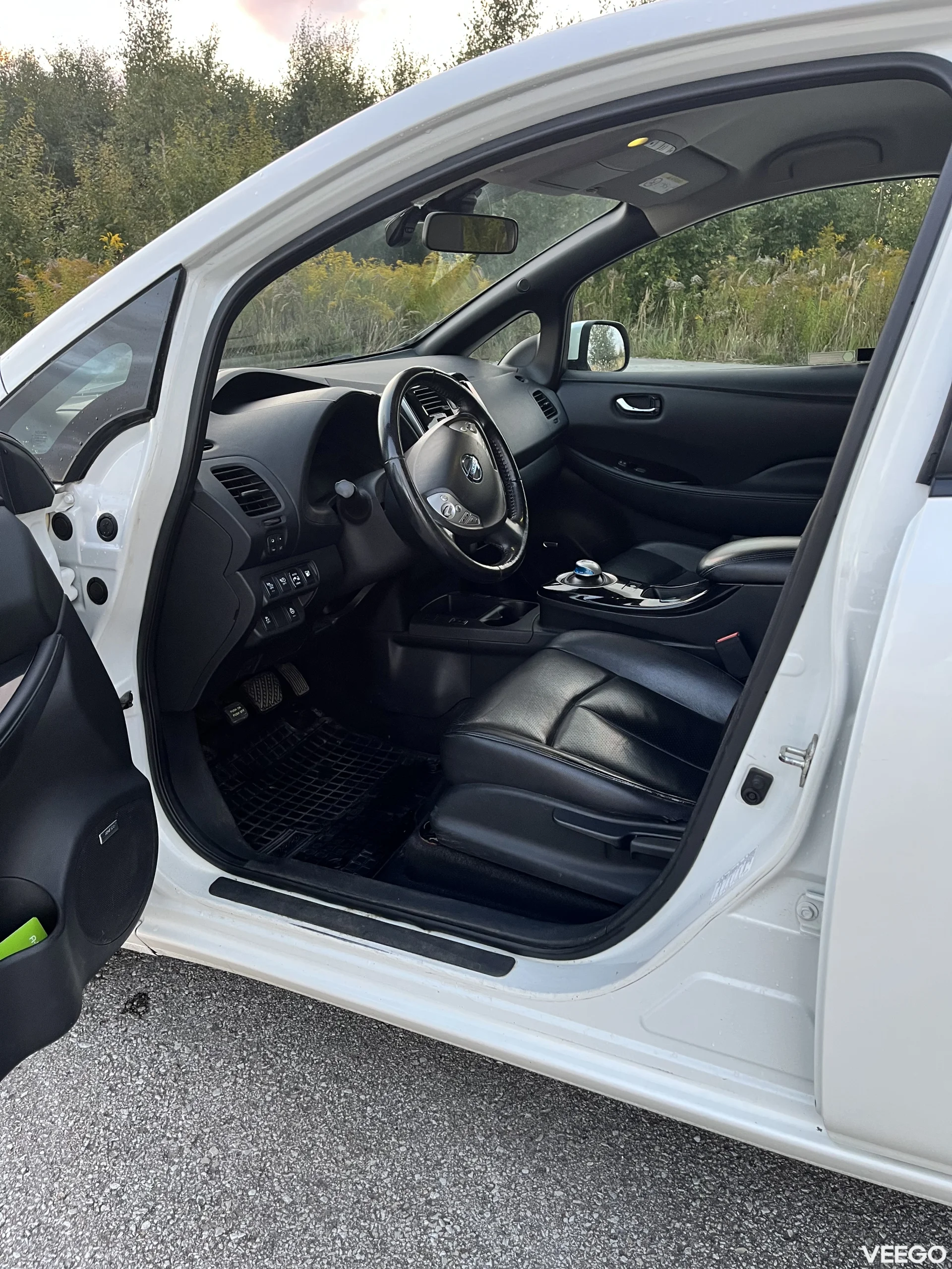 Nissan Leaf 0.0 80kW