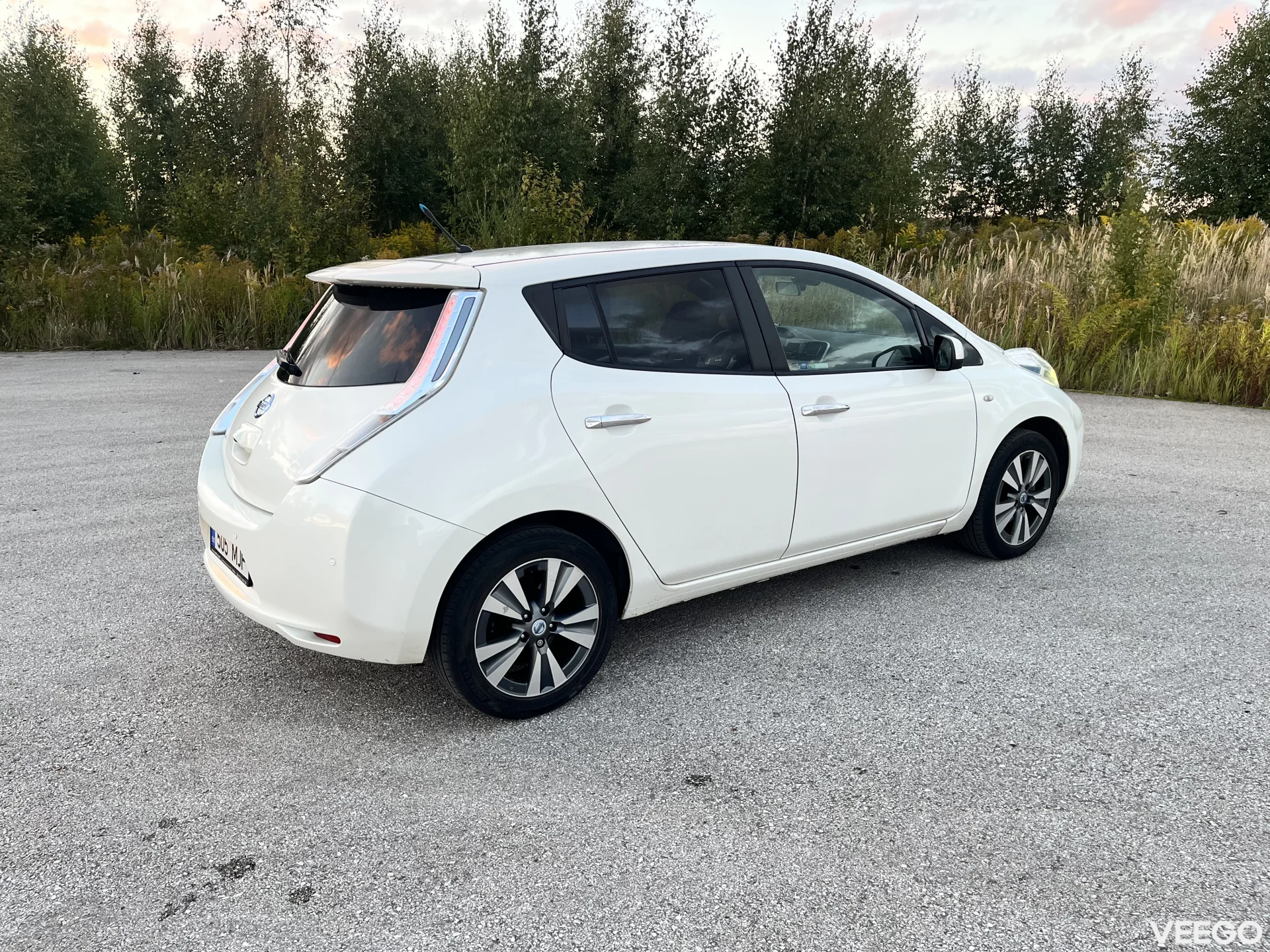 Nissan Leaf 0.0 80kW