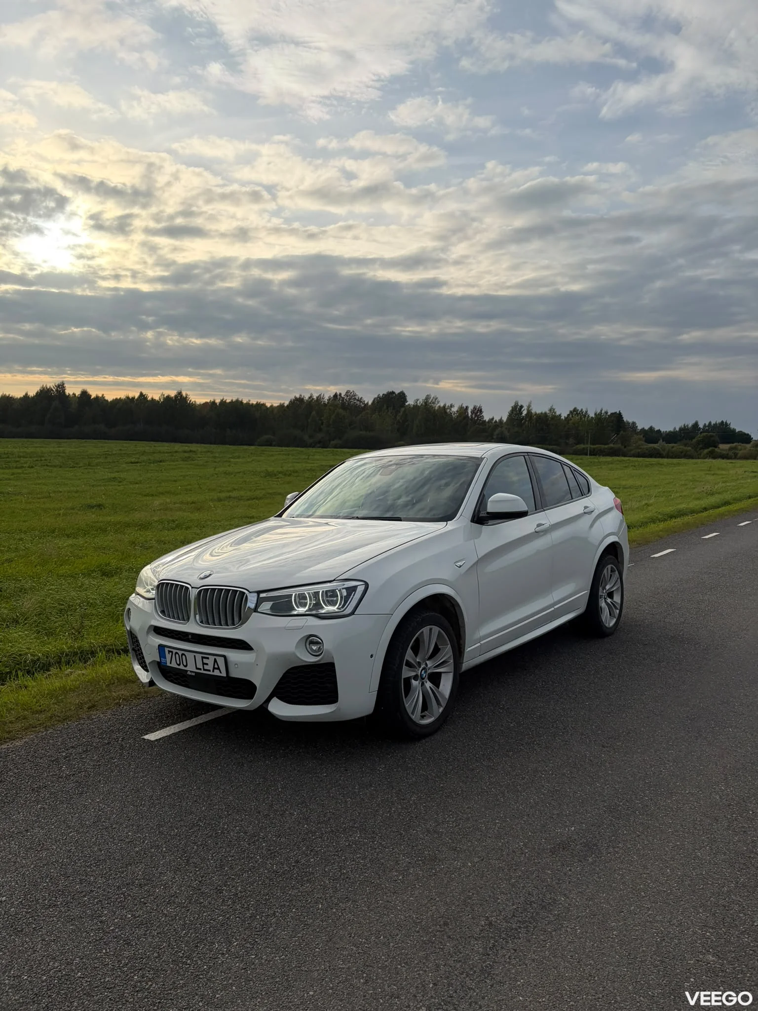 BMW X4 3.0 230kW