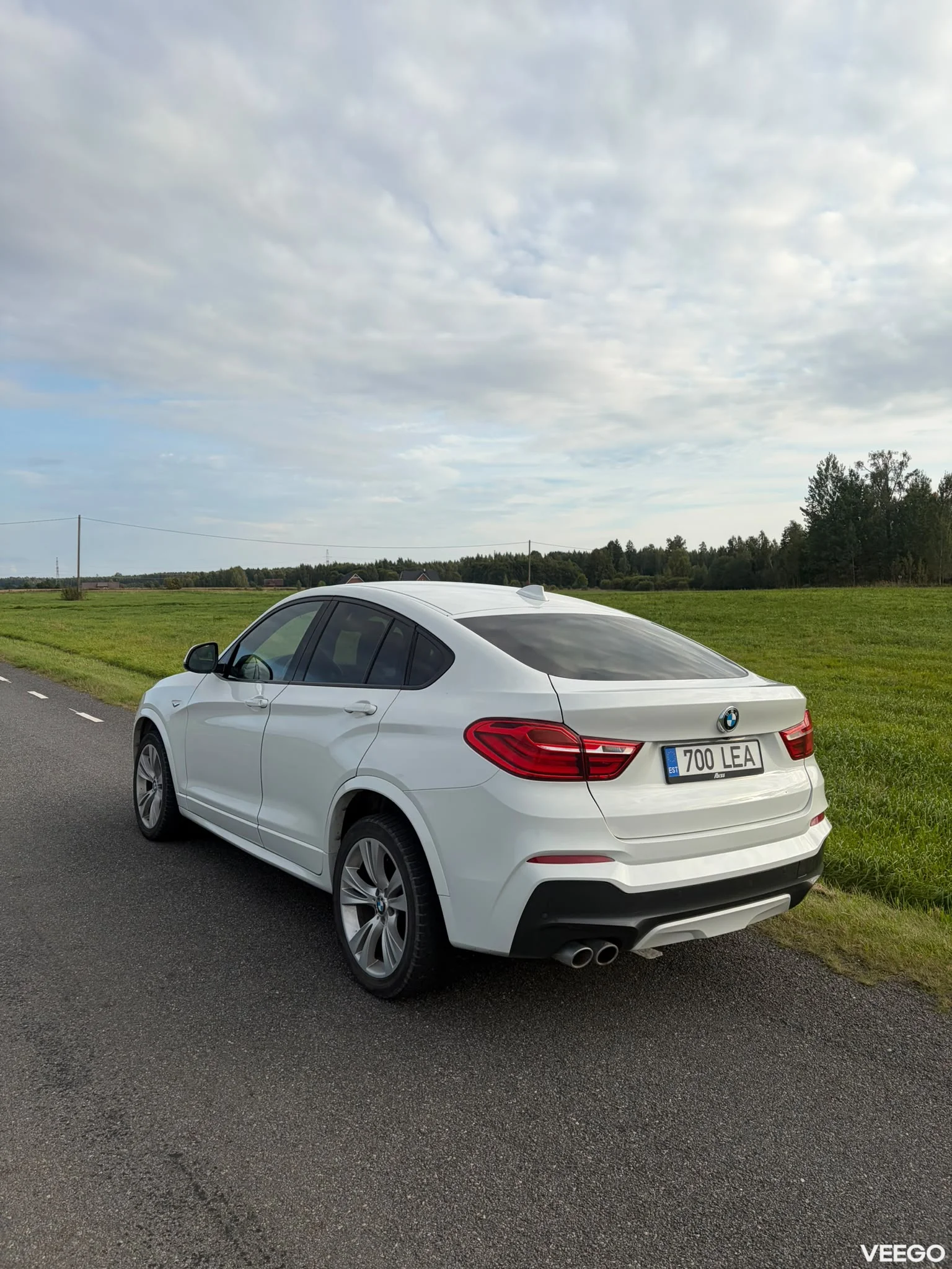 BMW X4 3.0 230kW