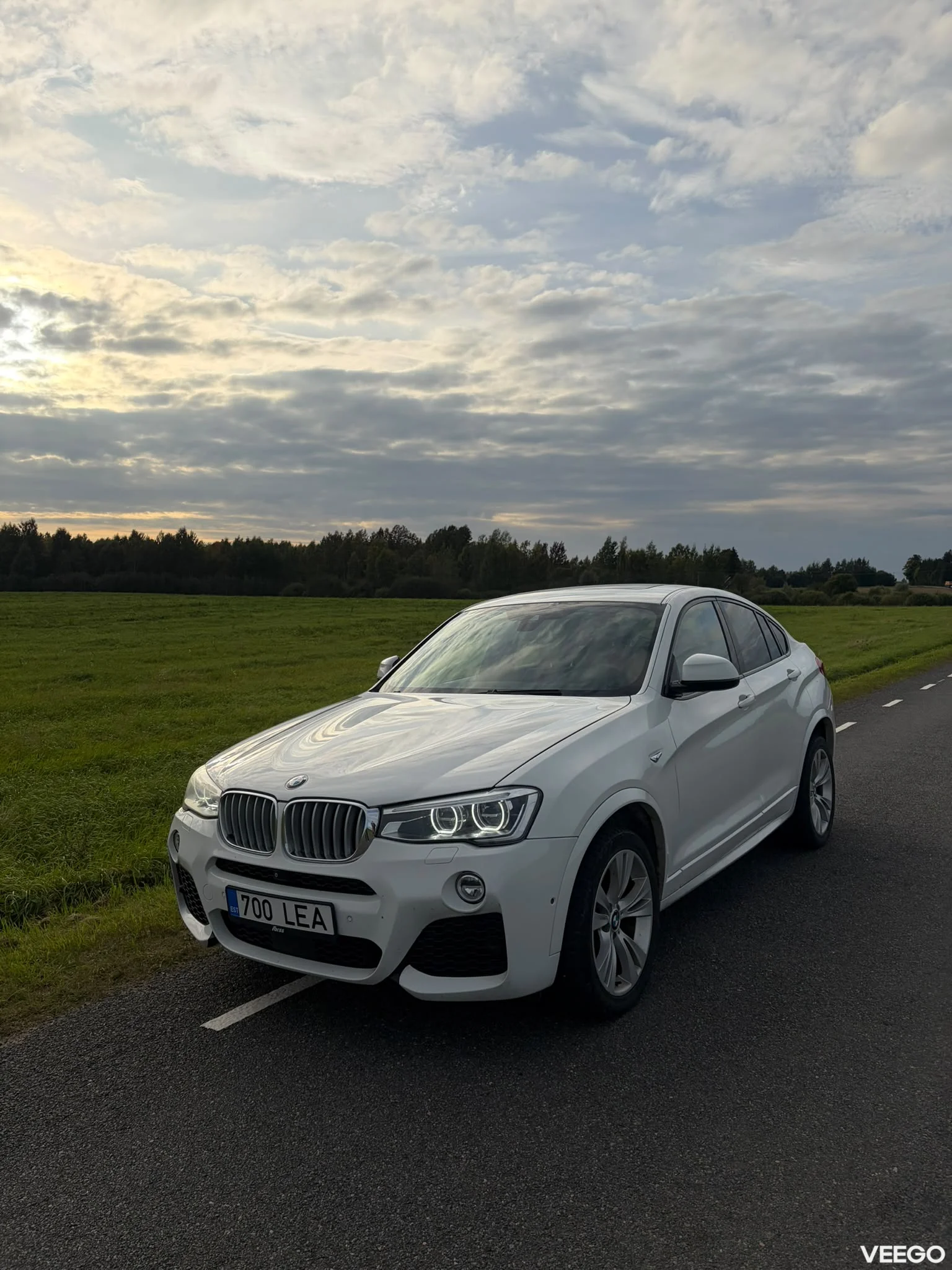 BMW X4 3.0 230kW