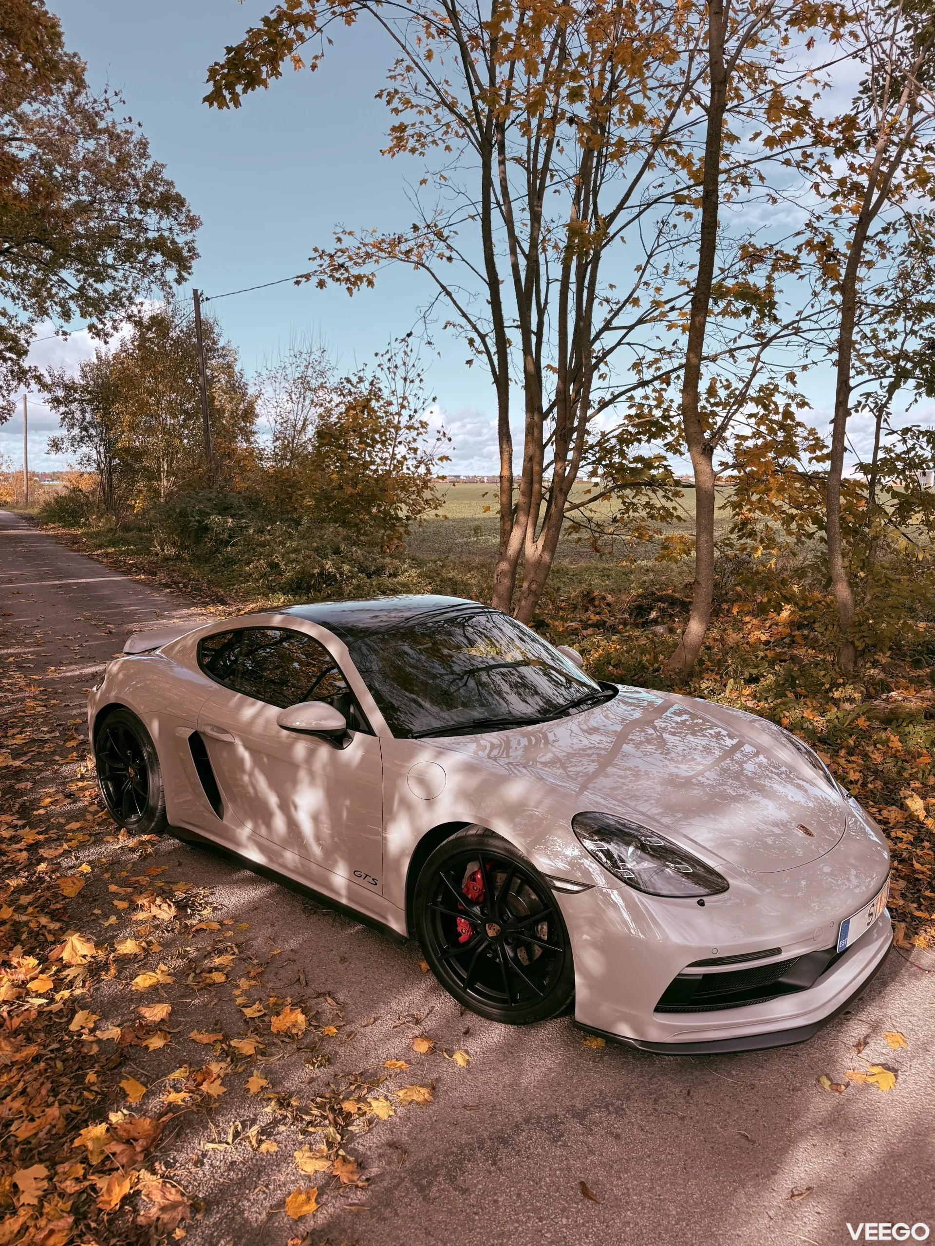 Porsche 718 Cayman GTS 2.5 269kW