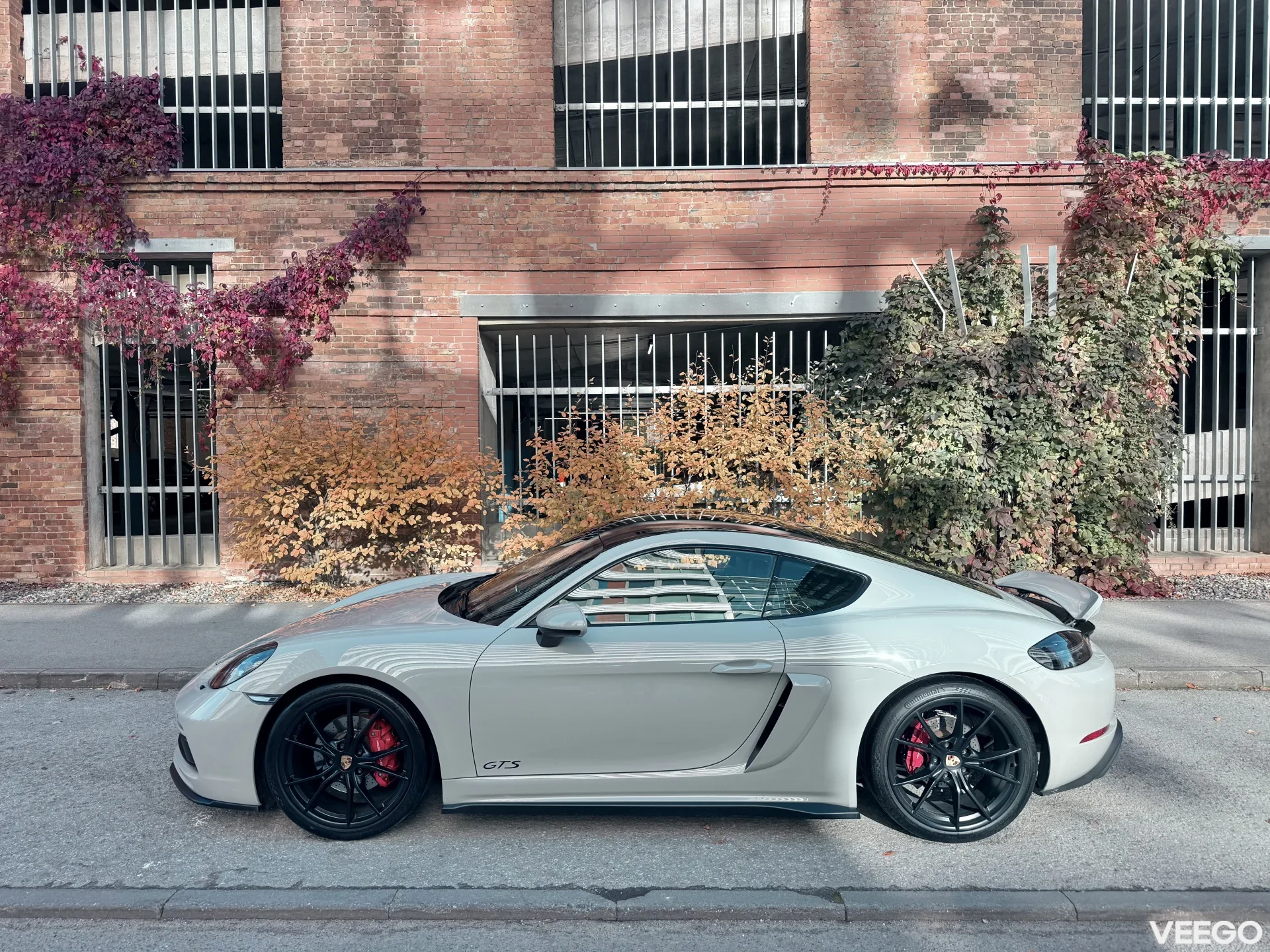 Porsche 718 Cayman GTS 2.5 269kW