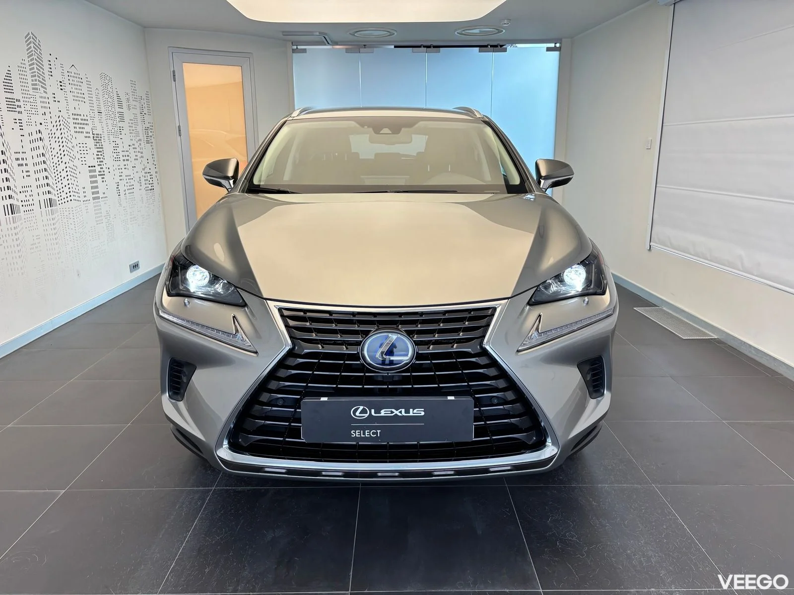 Lexus NX 300h - 114kW