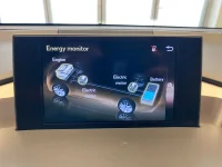 Lexus NX 300h - 114kW