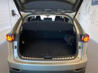 Lexus NX 300h - 114kW
