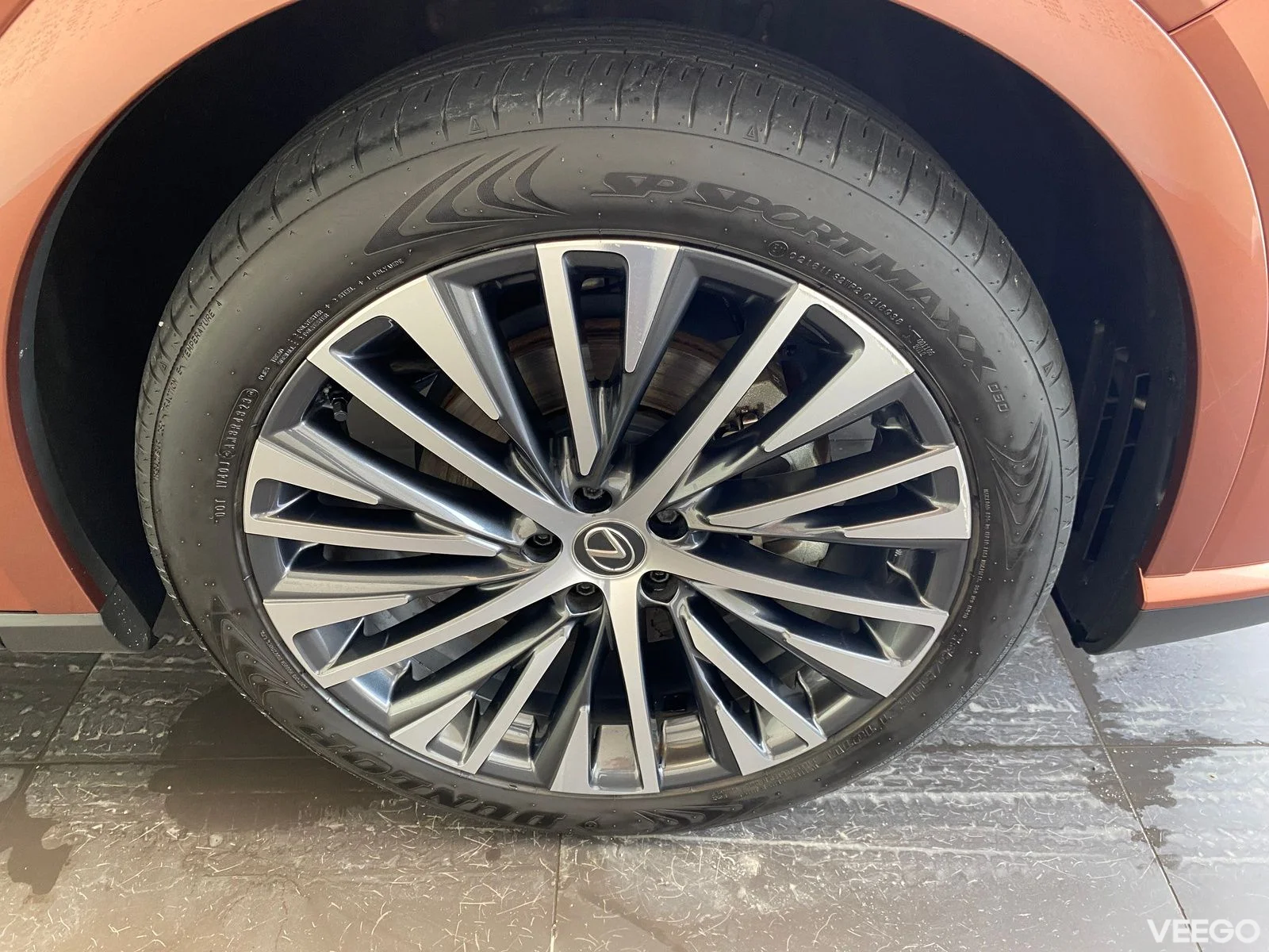 Lexus RX 450h+ - 136kW