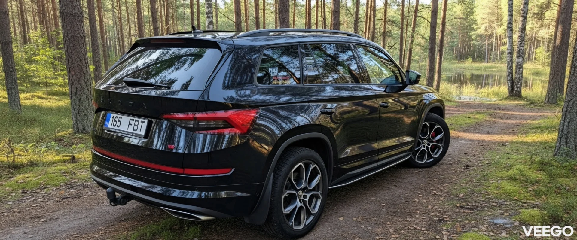 Skoda Kodiaq RS 2.0 176kW