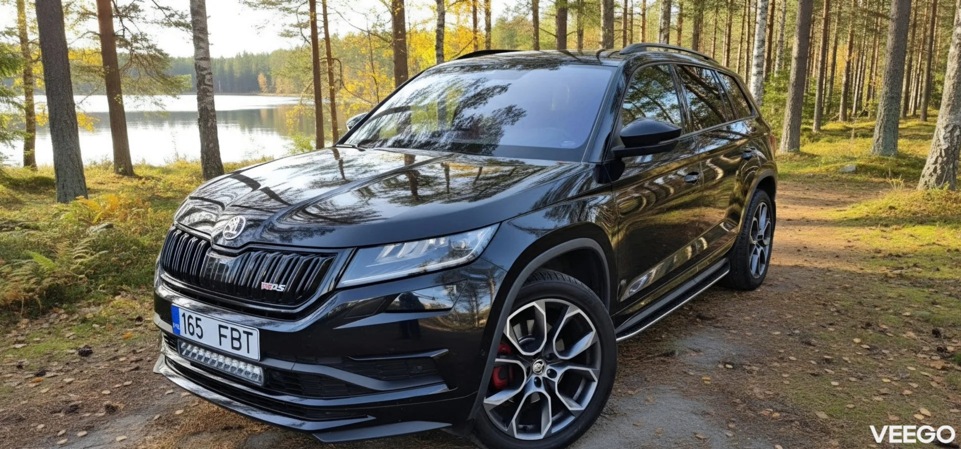 Skoda Kodiaq RS 2.0 176kW