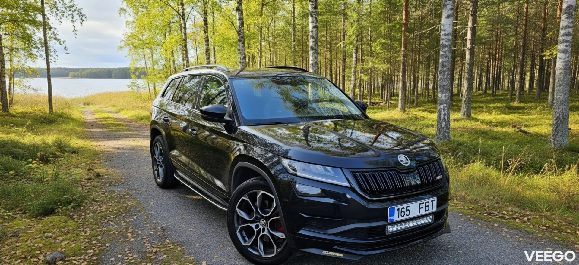 Skoda Kodiaq RS 2.0 176kW