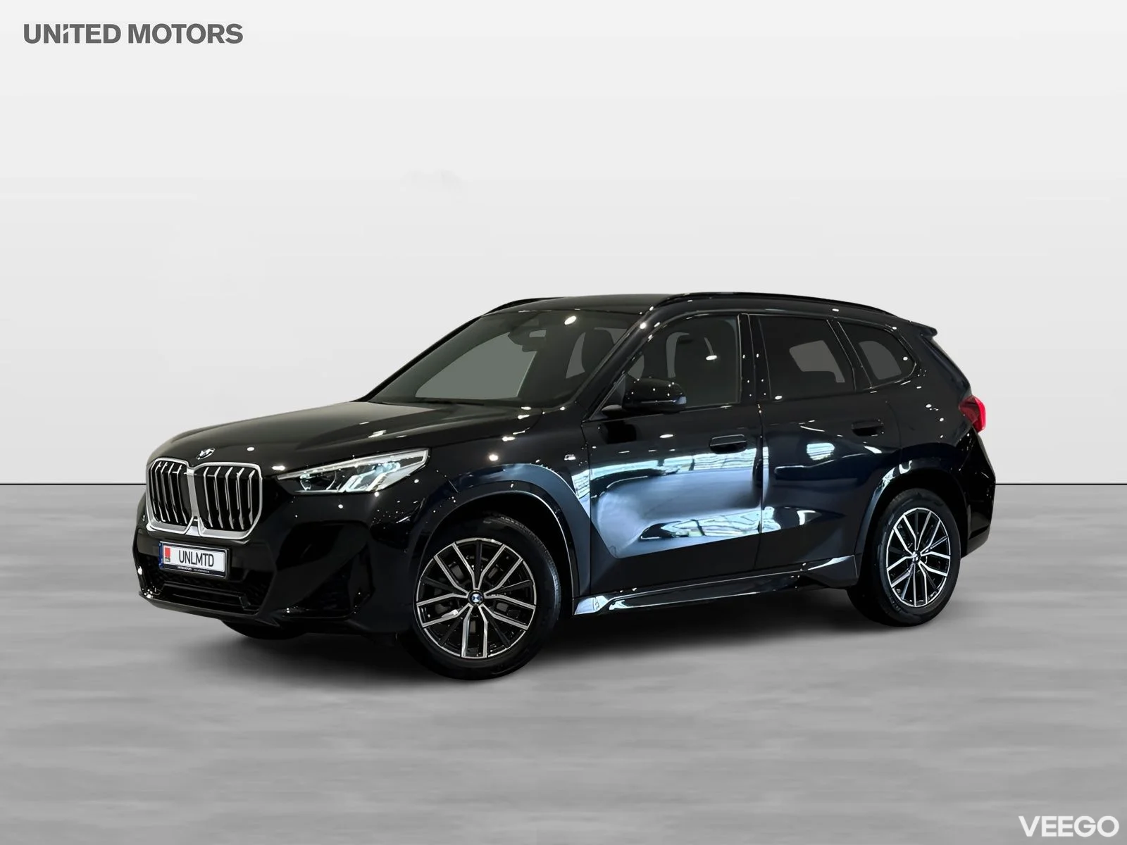BMW X1 sDrive18i M Sport Drag Backkamera Rattv Tonade 18" 0kW