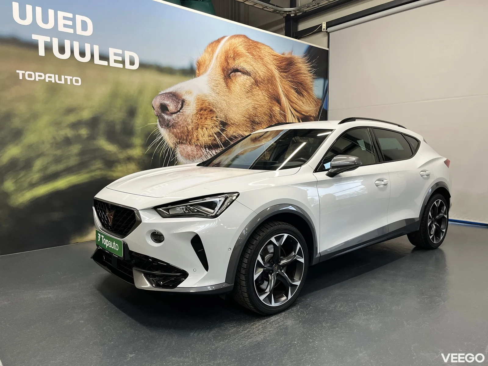 Cupra Formentor 2 180kW