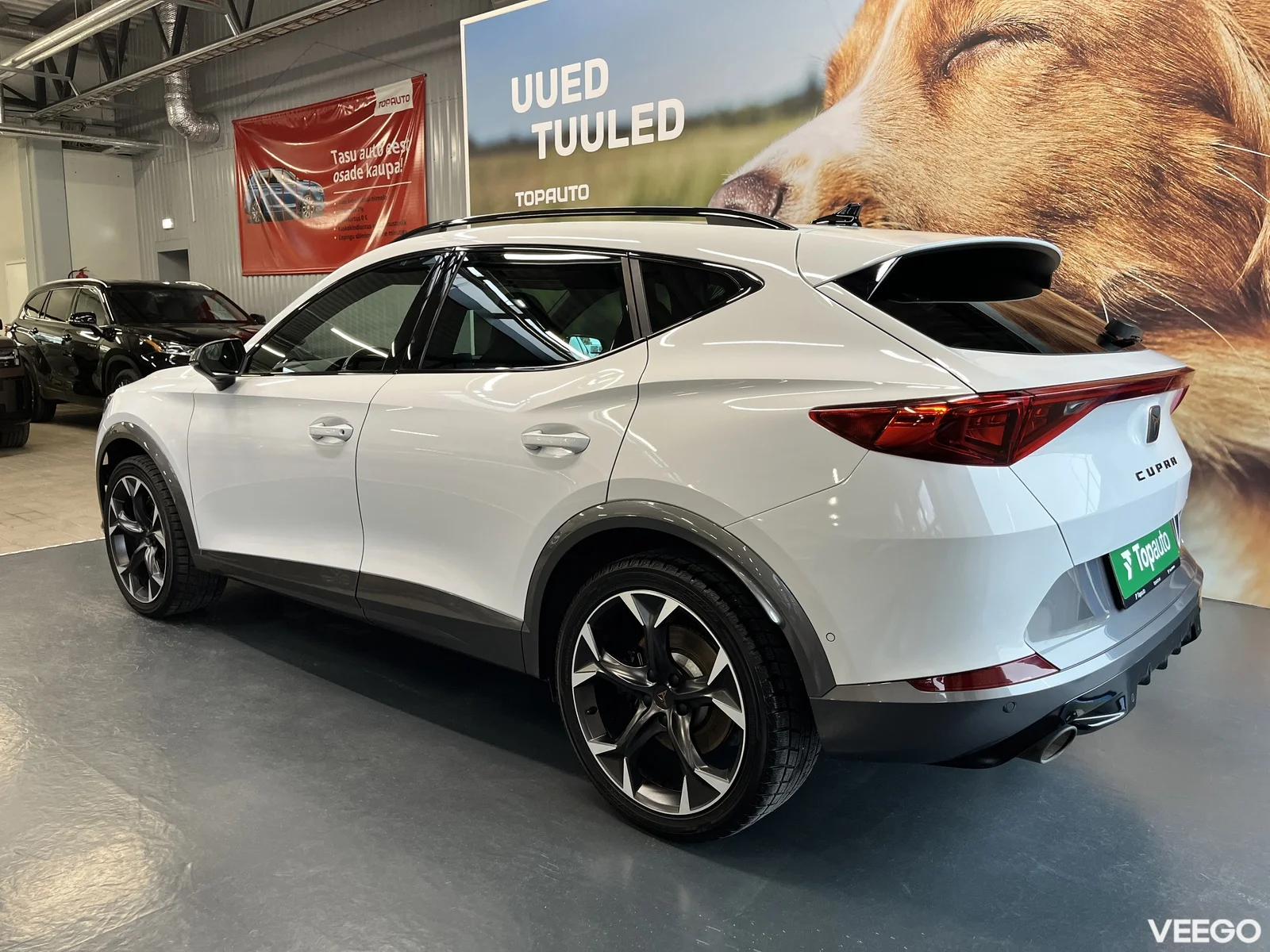 Cupra Formentor 2 180kW
