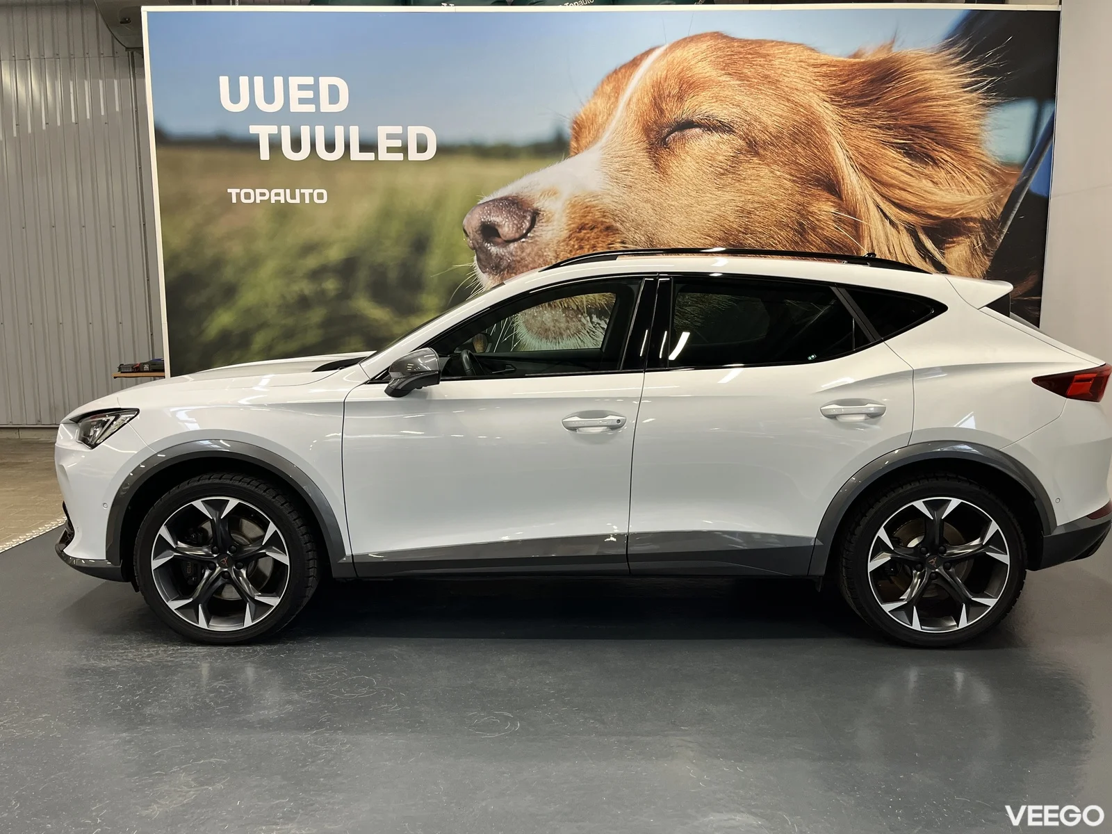 Cupra Formentor 2 180kW