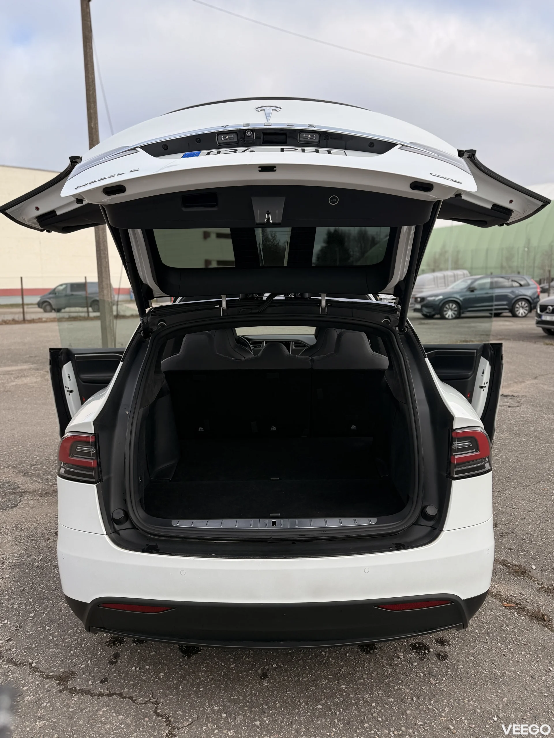 Tesla MODEL X 100D 368kW