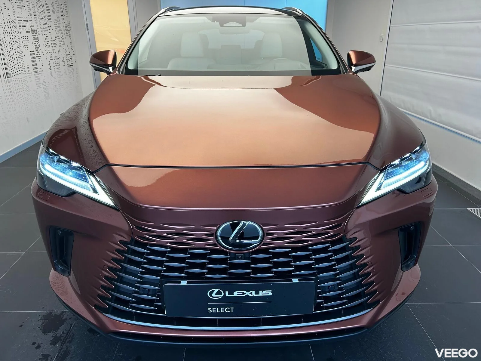 Lexus RX 450h+ - 136kW