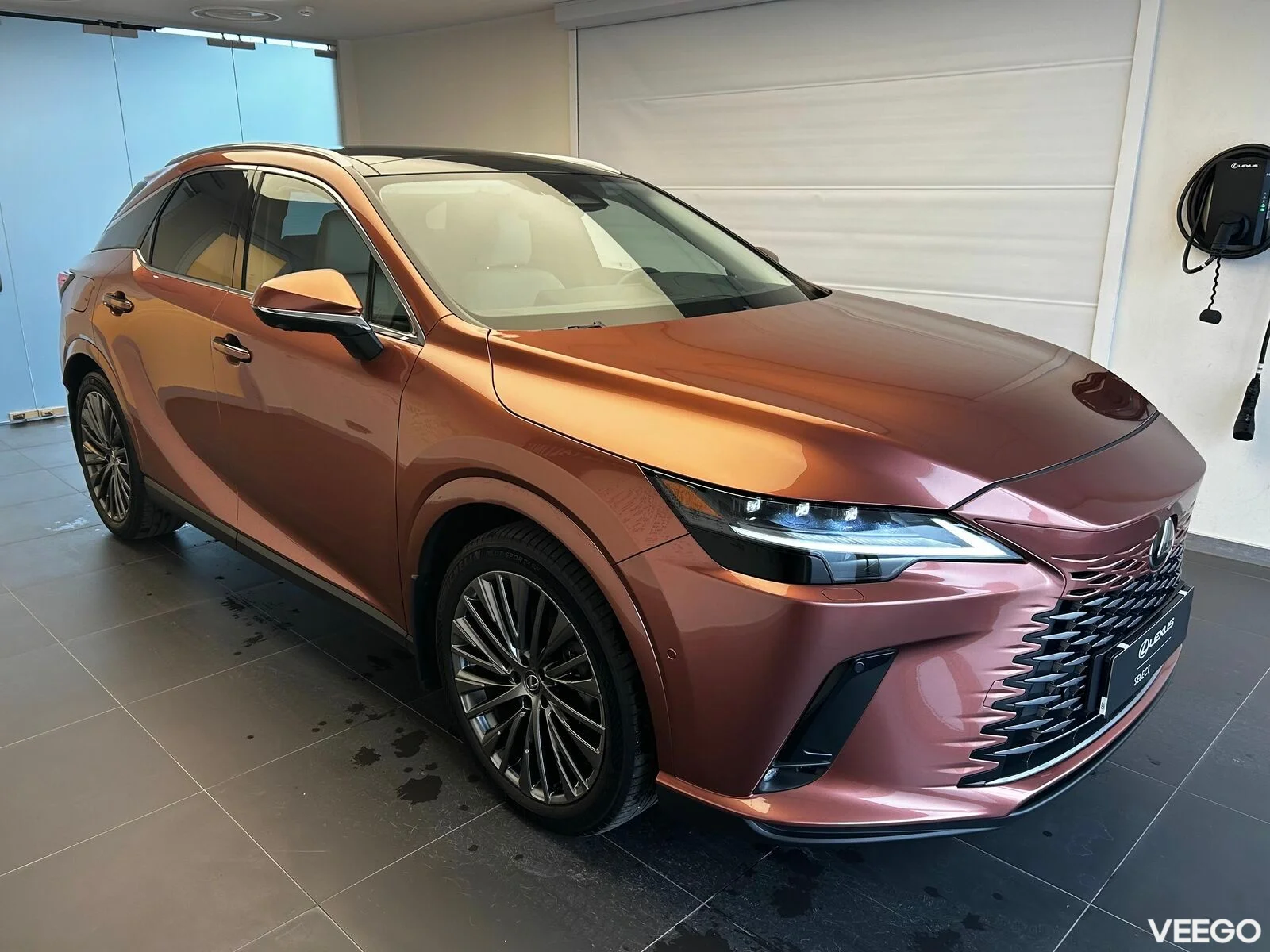 Lexus RX 450h+ - 136kW